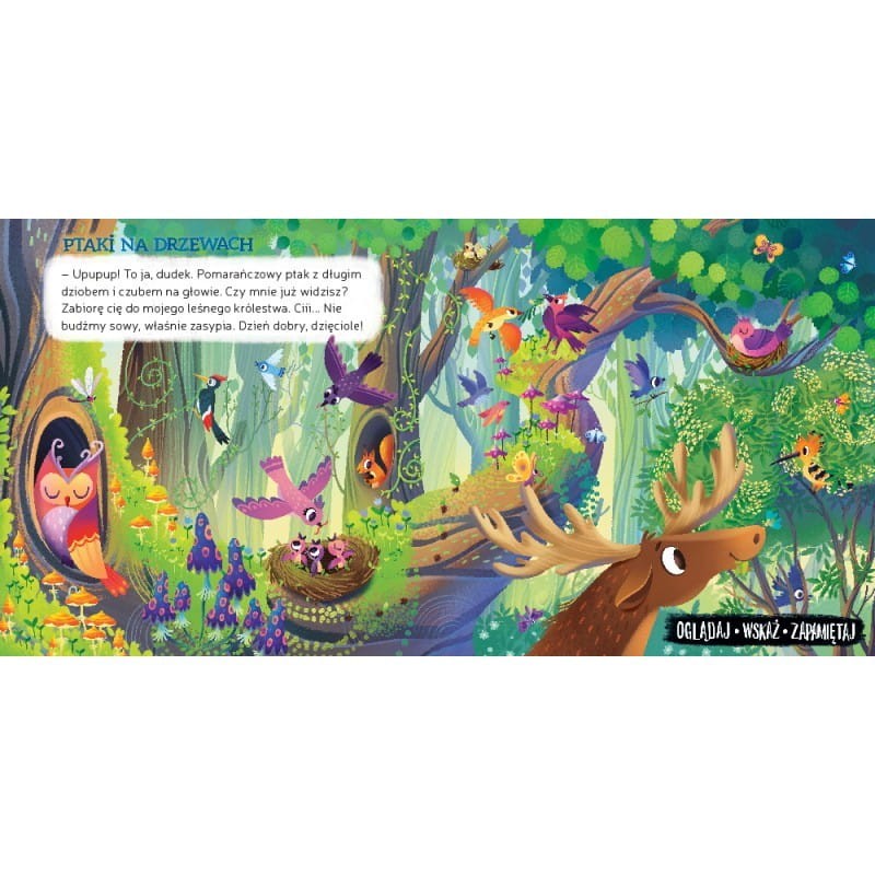 Co zobaczę w lesie. Oglądaj, wskaż, zapamiętaj