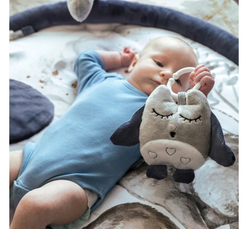 Mata Edukacyjna z Pałąkami Wolf Moonlight - BabySteps