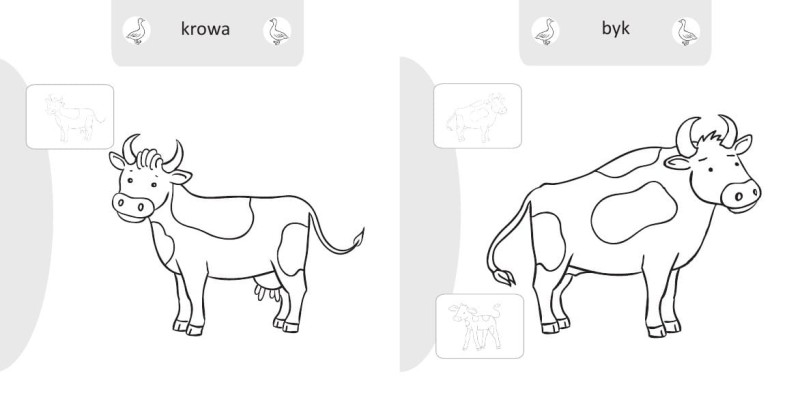 Malowanie-doklejanie. Zwierzęta na wsi. Kolorowanka z Naklejkami