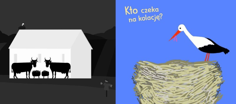 Co tu się schowało? Odkrycia z latarką - Krzysztof Zięba