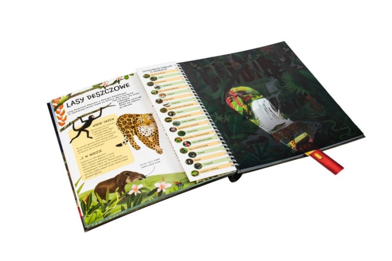 Zwierzęta nocą. Nocne safari z latarką w ręku