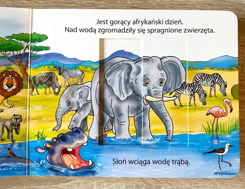 Wysuń i wsuń. Świat zwierząt