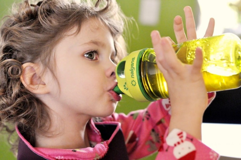 Bidon Butelka Kids Grip-N-Gulp Cars - Nalgene