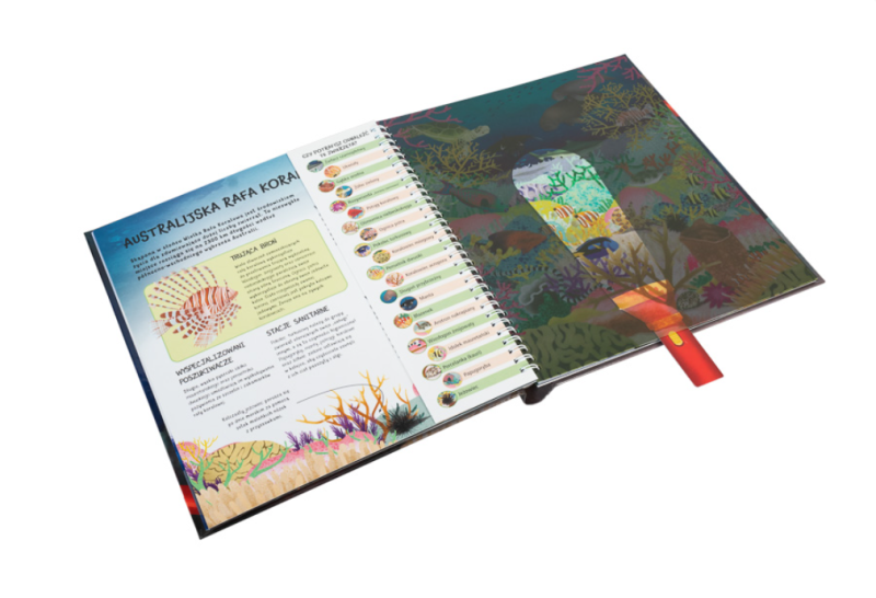 Tajemnice głębin oceanu Podmorska wyprawa z latarką w ręku – dla odważnych nurków!