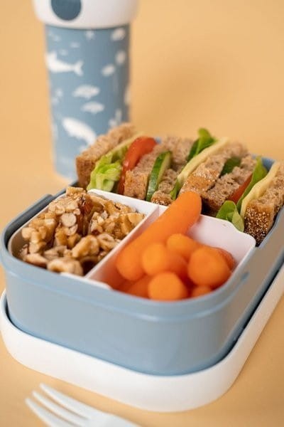 Lunchbox śniadaniówka z widelczykiem Ocean - Little Dutch