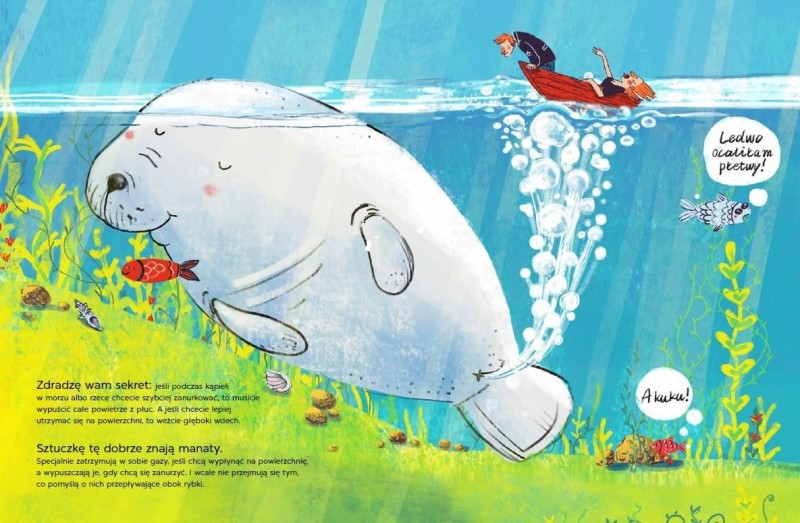 Robią to… wszyscy - Biełowa Ałła