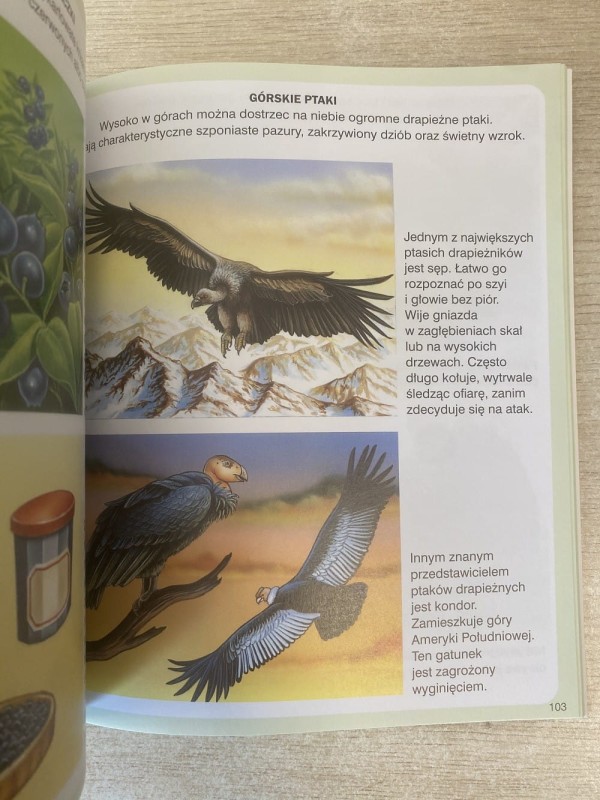 Świat w obrazkach. Góry