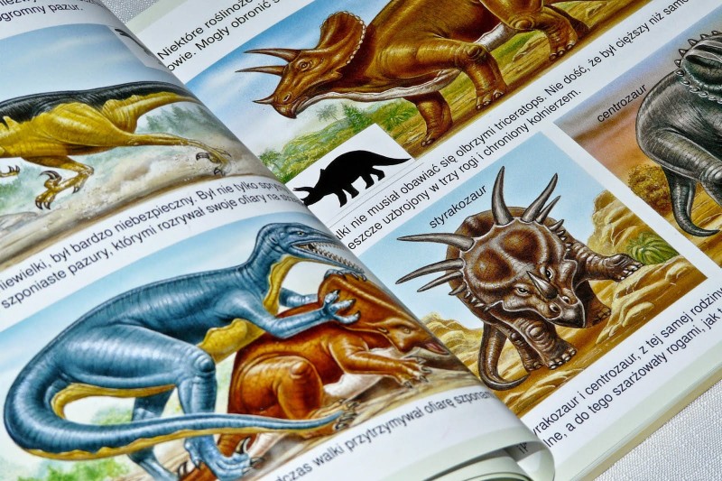 Dinozaury i prehistoria. Świat w obrazkach