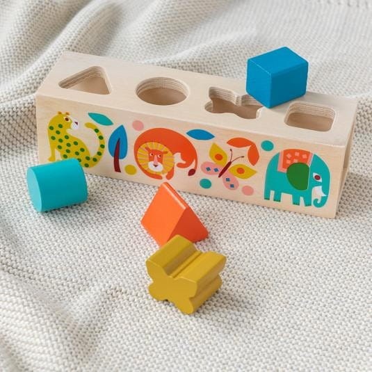 Sorter Kształtów z Klockami Geometrycznymi - Rex London