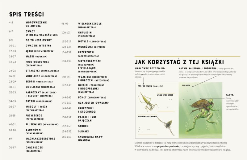 Owady od A do Z -  Jules Howard - Prawie 300 Gatunków