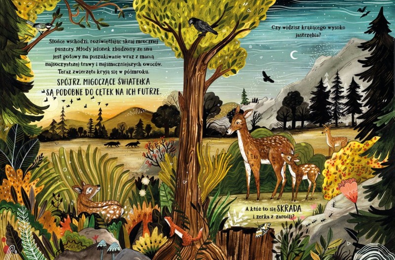 Tajemniczy las - Sandra Dieckmann