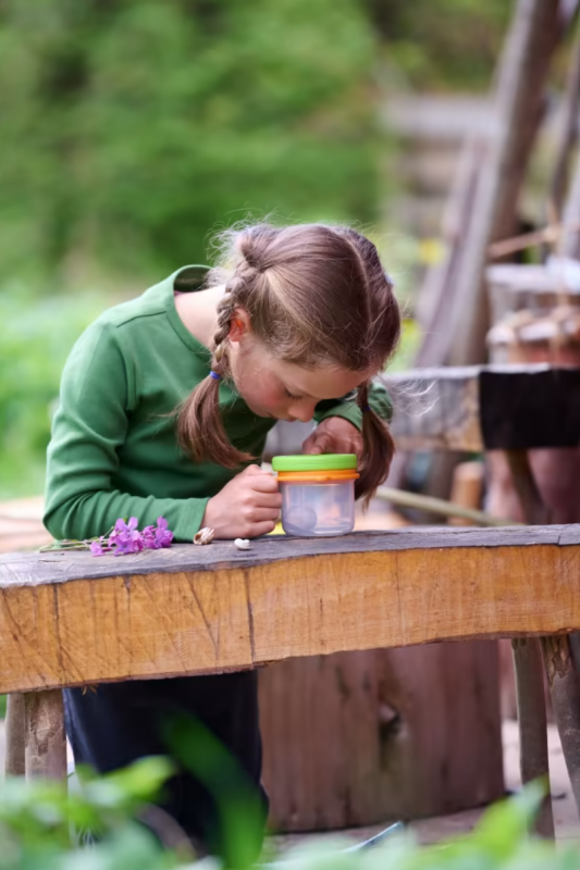 Pudełko do Łapania Owadów z Lupą 3w1 Terra Kids - Haba