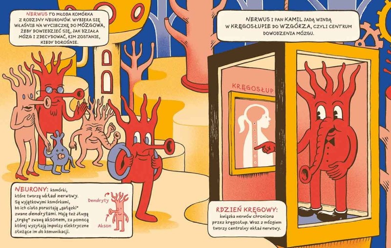 Wycieczka po mózgu. Akademia mądrego dziecka. Chcę wiedzieć więcej