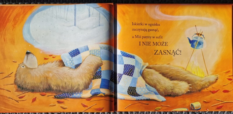 Pan Miś nie może zasnąć - Karma Wilson