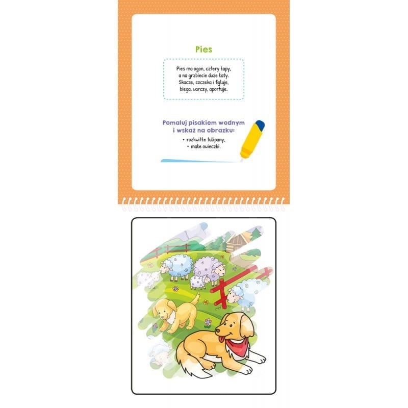 Zwierzaki. Malowanka z pisakiem wodnym