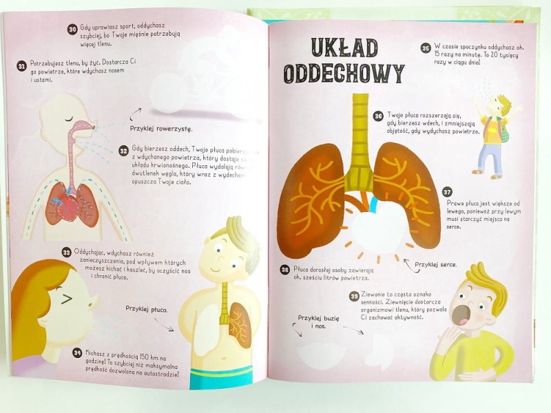 100 niesamowitych faktów o ludzkim ciele. Ponad 150 naklejek