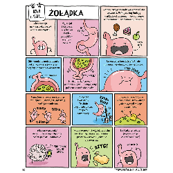 Dzień z życia skunksa, jelita i tego, kto to czyta