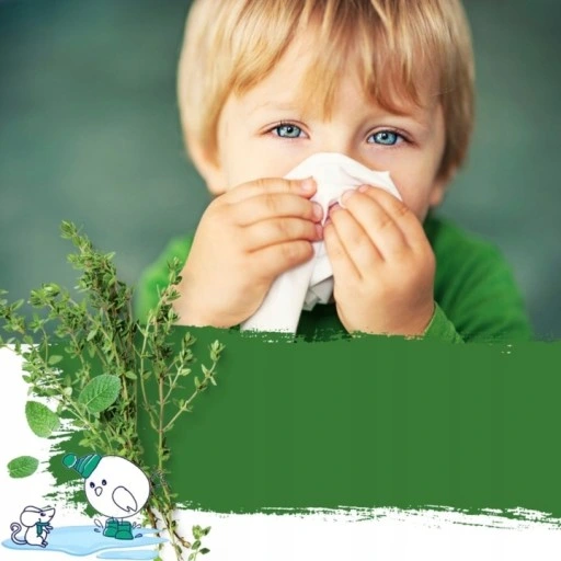 5x Sól do Kąpieli na Katar Bądź zdrów! Tymianek-Mięta Pieprzowa - Dresdner Essenz