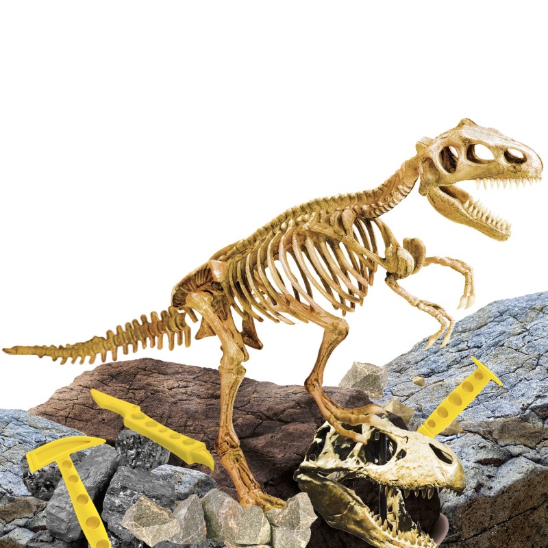Wykopaliska Dinozaurów SuperKit T-REX - Lisciani