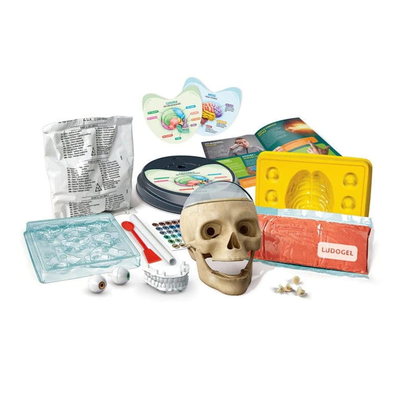Zwariowana Anatomia Laboratorium - Clementoni