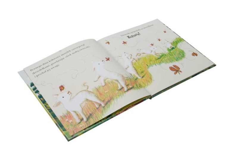 Gdzie jesteś, owieczko? Opowieść o dobrym pasterzu - Antonia Woodward