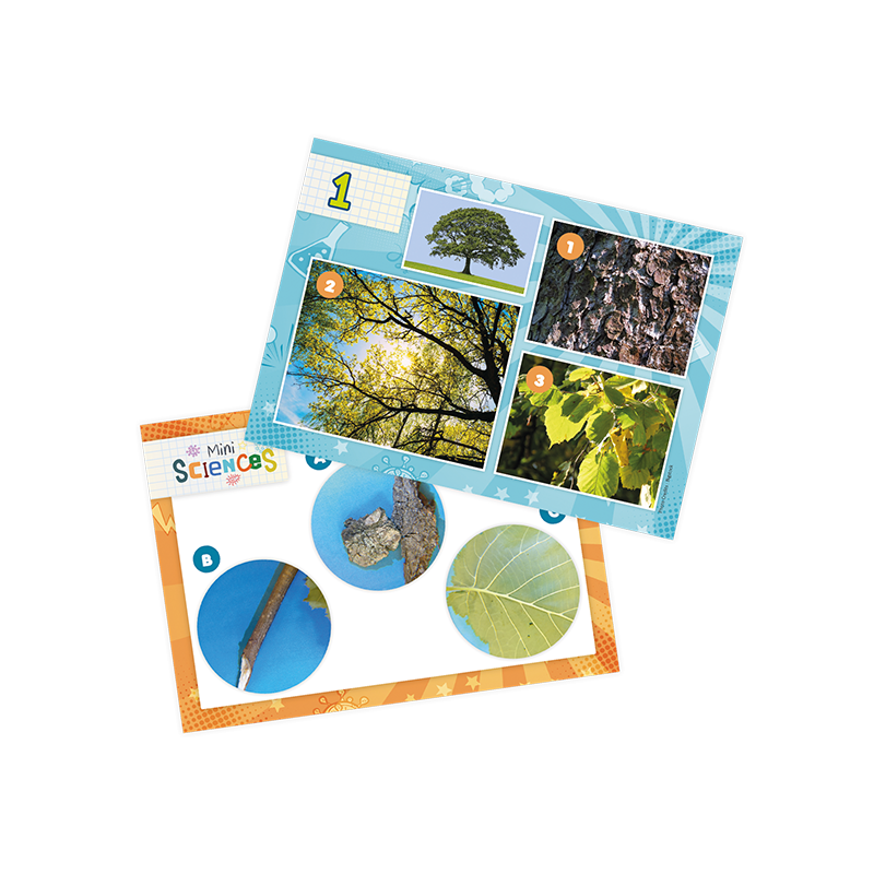 Mikroskop Mini Sciences 10 Doświadczeń - Buki