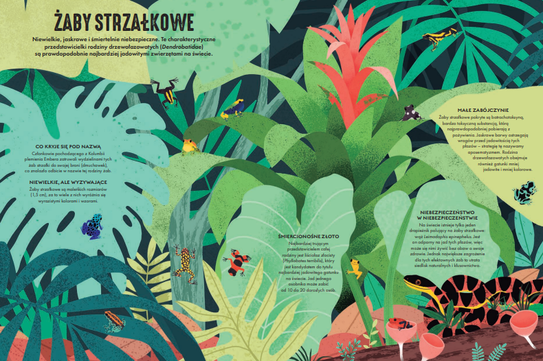 Jad. Trujące substancje w świecie zwierząt - Ico Romero Reyes