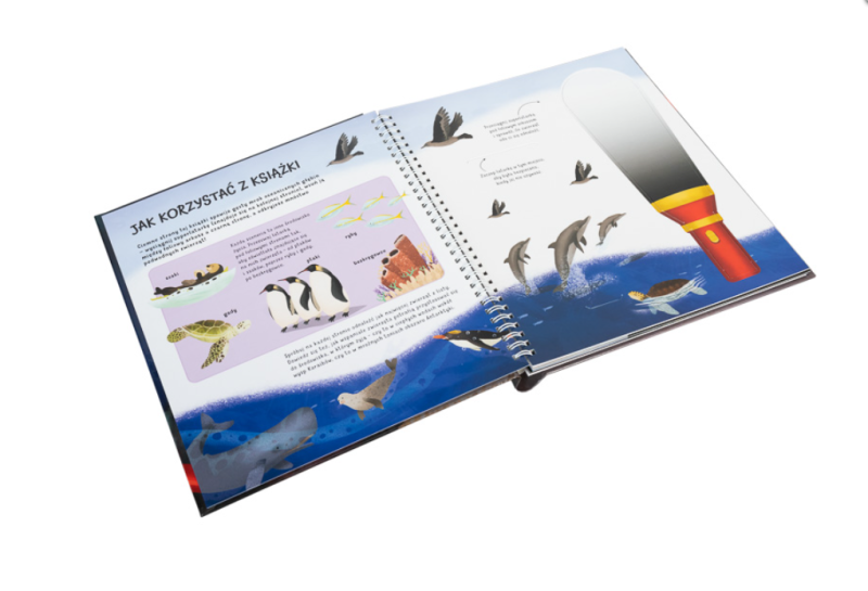 Tajemnice głębin oceanu Podmorska wyprawa z latarką w ręku – dla odważnych nurków!