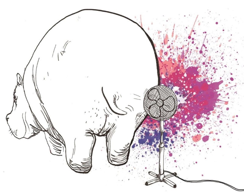 Pupy, ogonki i kuperki - Mikołaj Golachowski