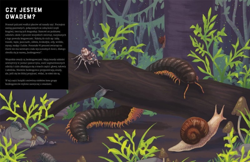 Owady od A do Z -  Jules Howard - Prawie 300 Gatunków