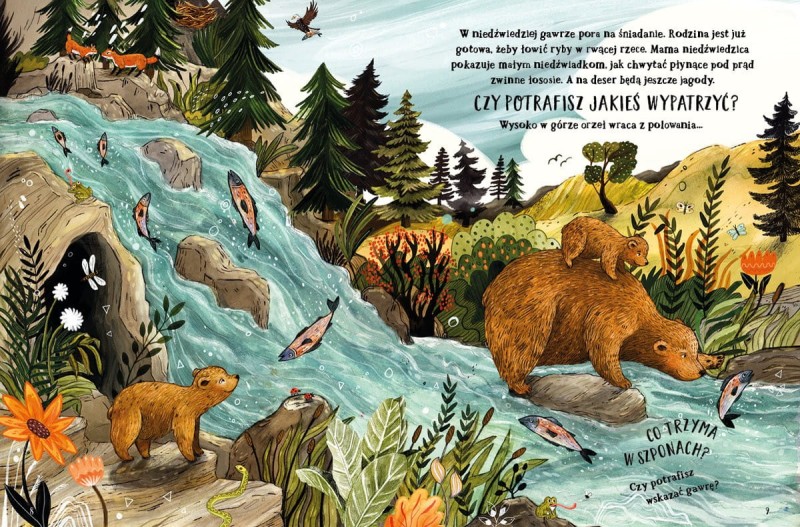 Tajemniczy las - Sandra Dieckmann