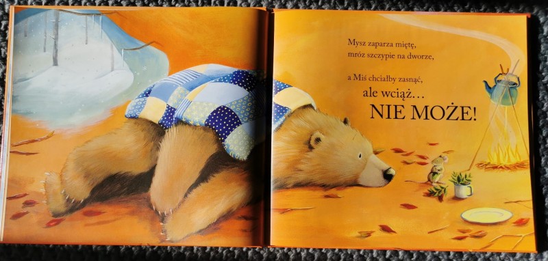 Pan Miś nie może zasnąć - Karma Wilson