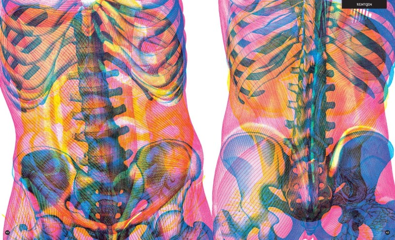 Gabinet Anatomii Album z Trójwarstwowymi Ilustracjami