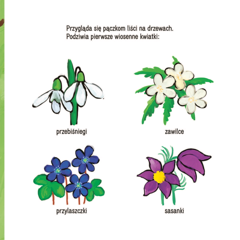 Kicia Kocia Wiosna - Książeczka dla dzieci