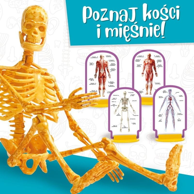 Ciało Człowieka Eksperymenty dla Dzieci Mały Geniusz - Lisciani