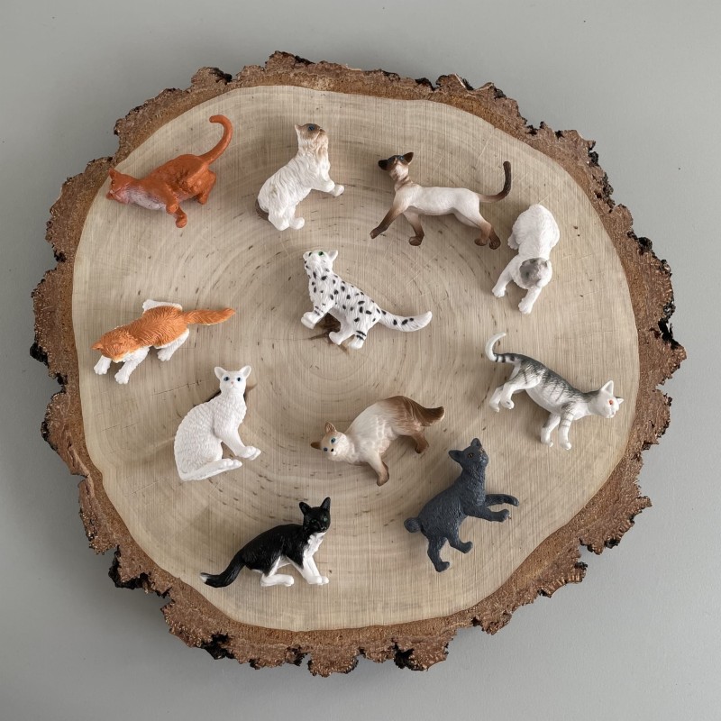 Figurki kotów 11 szt. w tubie Safari Ltd.
