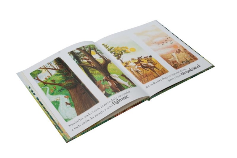 Gdzie jesteś, owieczko? Opowieść o dobrym pasterzu - Antonia Woodward