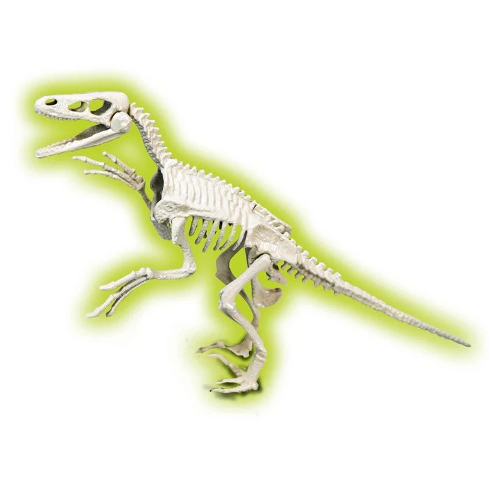 Skamieniałości dinozaur Welociraptor Clementoni