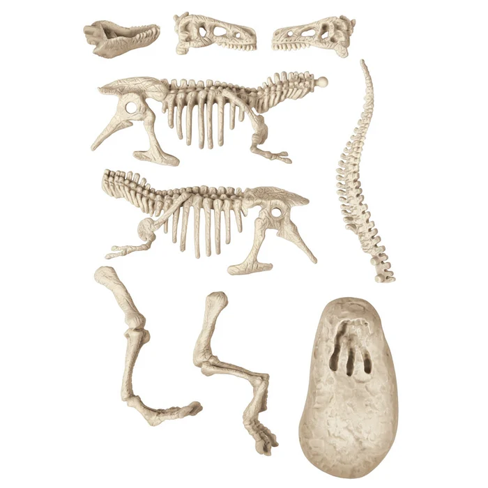 Skamieniałości dinozaur T-Rex Clementoni