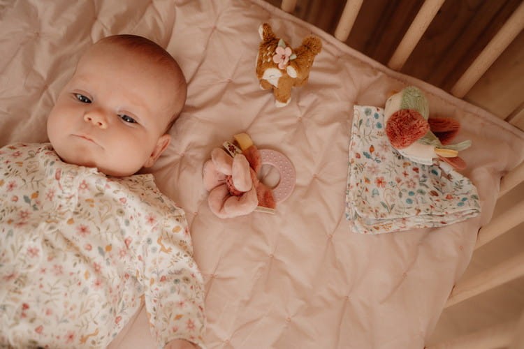 Zestaw prezentowy dla noworodka Fairy Garden Giftbox Little Dutch