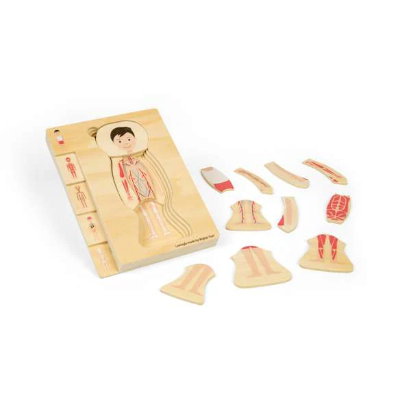 Ciało człowieka chłopiec układanka warstwowa Bigjigs Toys