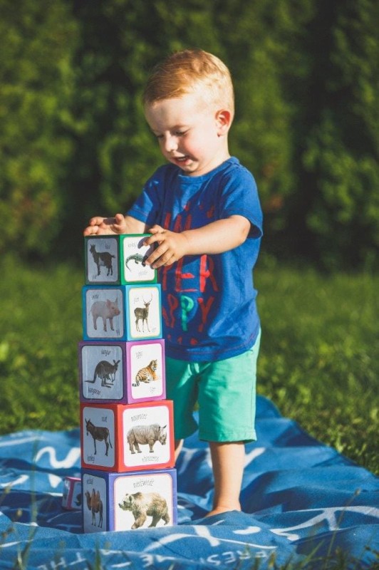 Kartonowe Klocki Wieża Zwierzęta - Piramida Zabaw