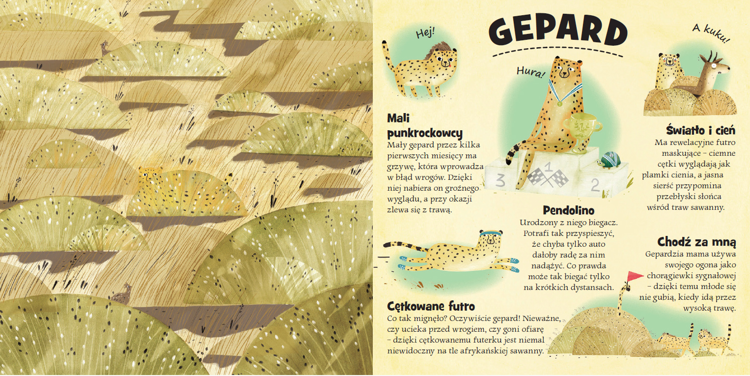 Kto się chowa na lądzie i w wodzie?