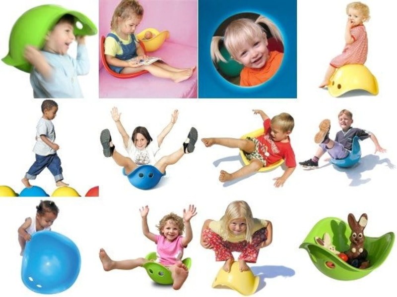 Muszla Bilibo Żółta - Moluk