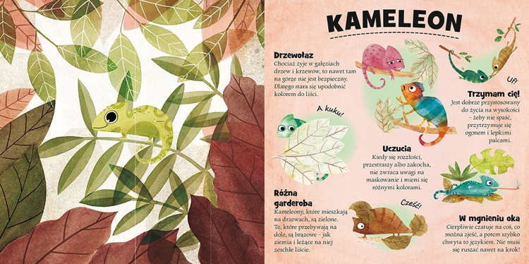 Kto się chowa w lesie i na śniegu?