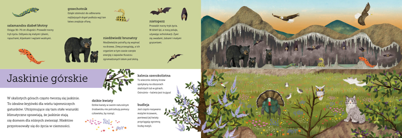 Góra i dół. Zobacz, jak niesamowita jest przyroda