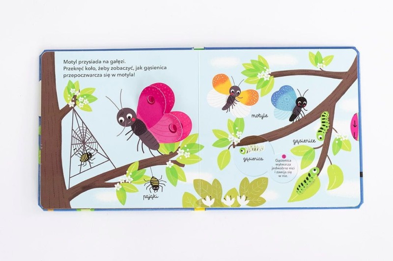 Małe zwierzęta. Akademia mądrego dziecka. Kolorowy świat