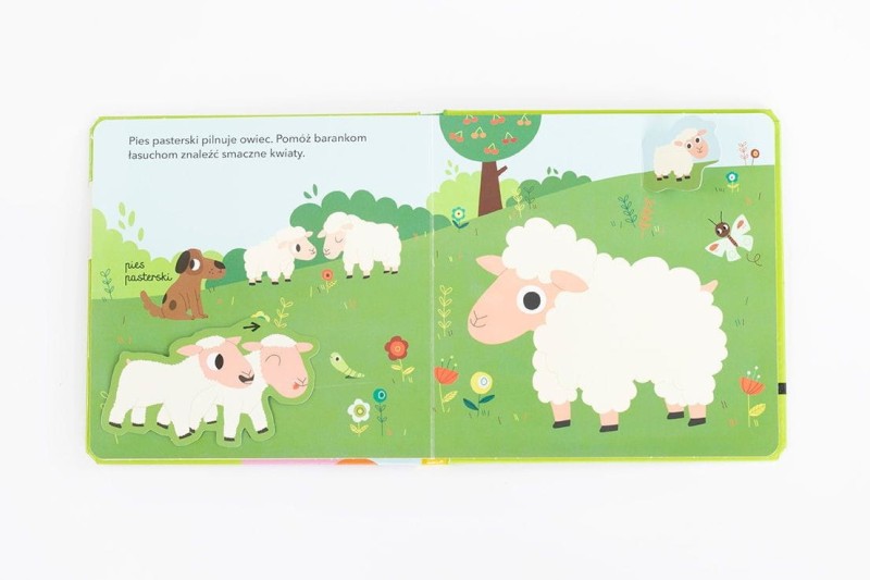 W gospodarstwie. Akademia mądrego dziecka. Kolorowy świat