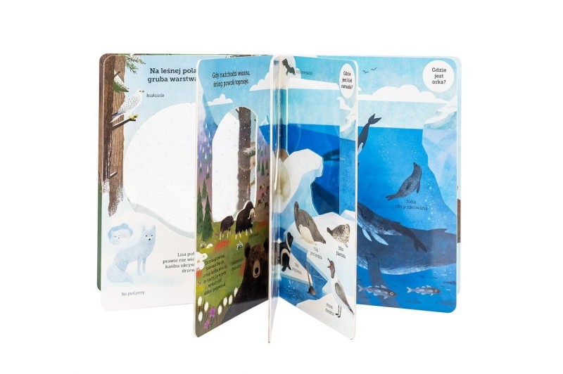 W Arktyce. Akademia mądrego dziecka. Odkryj przyrodę