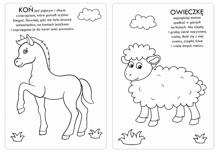 Kolorowanka z naklejkami Zwierzaczki wiejskie - 74 naklejki